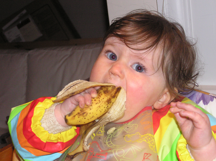 Ivy munches a banana June 2008