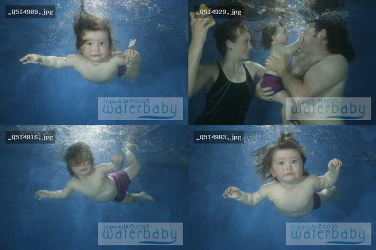 Ivy in the pool. Not exactly Nirvana is it?